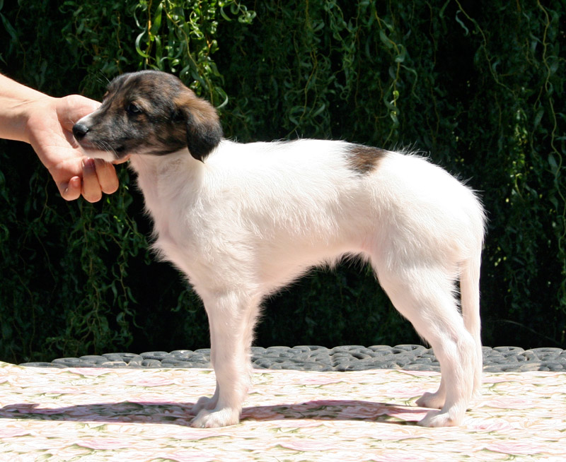 Surf Spots - Girl 1 Left